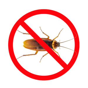 Pest control - Roaches